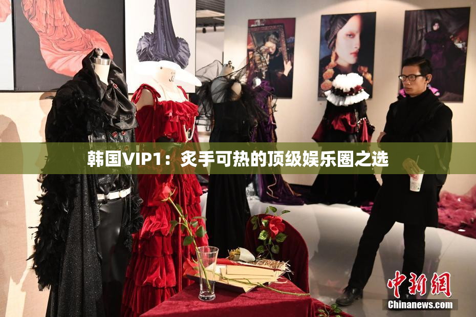 韩国VIP1：炙手可热的顶级娱乐圈之选