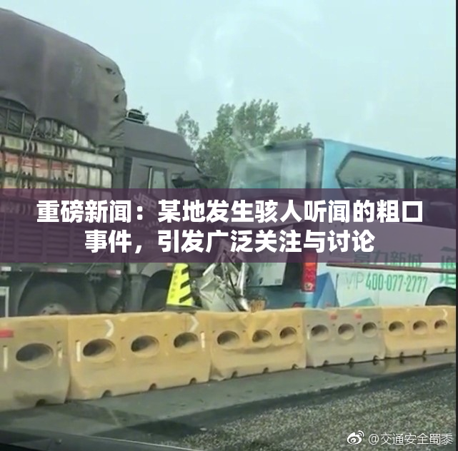 重磅新闻：某地发生骇人听闻的粗口事件，引发广泛关注与讨论