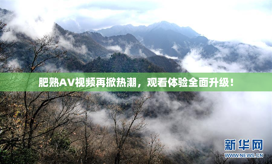 肥熟AV视频再掀热潮，观看体验全面升级！