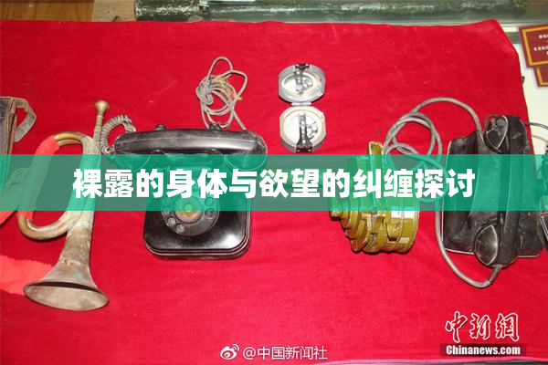 裸露的身体与欲望的纠缠探讨