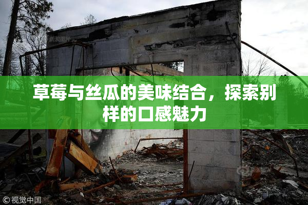草莓与丝瓜的美味结合，探索别样的口感魅力
