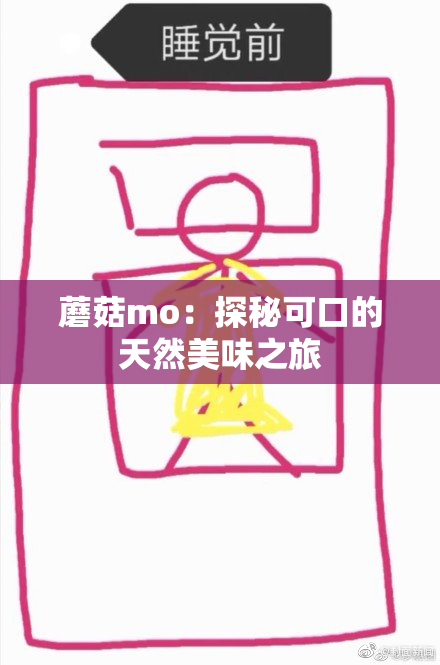 蘑菇mo：探秘可口的天然美味之旅