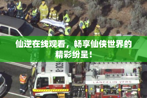仙逆在线观看，畅享仙侠世界的精彩纷呈！