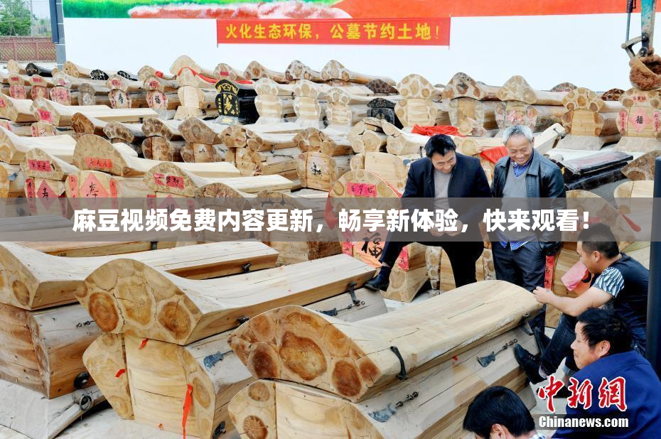 麻豆视频免费内容更新，畅享新体验，快来观看！