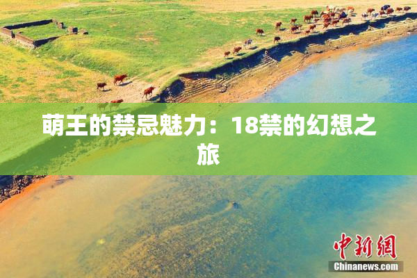 萌王的禁忌魅力：18禁的幻想之旅