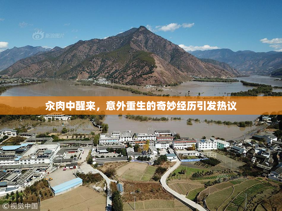 汆肉中醒来，意外重生的奇妙经历引发热议