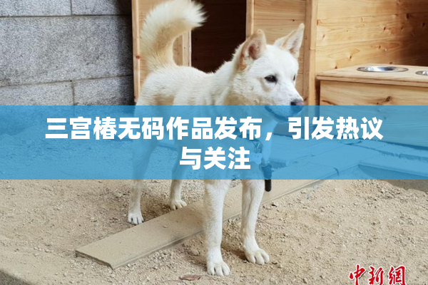 三宫椿无码作品发布，引发热议与关注