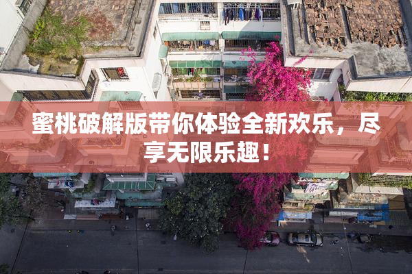 蜜桃破解版带你体验全新欢乐，尽享无限乐趣！