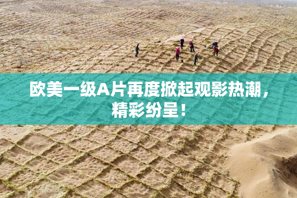 欧美一级A片再度掀起观影热潮，精彩纷呈！