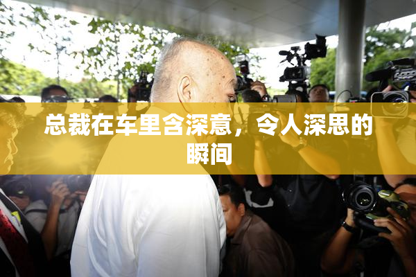 总裁在车里含深意，令人深思的瞬间