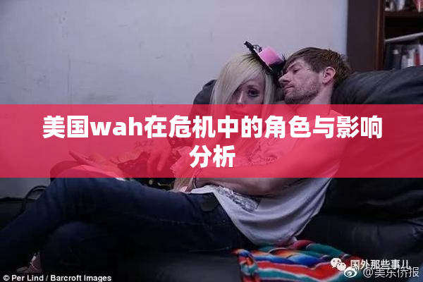 美国wah在危机中的角色与影响分析