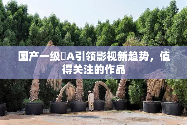 国产一级婬A引领影视新趋势，值得关注的作品