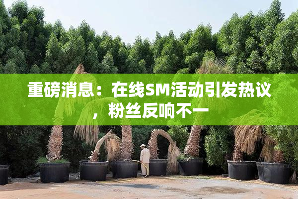 重磅消息：在线SM活动引发热议，粉丝反响不一