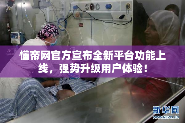 懂帝网官方宣布全新平台功能上线，强势升级用户体验！