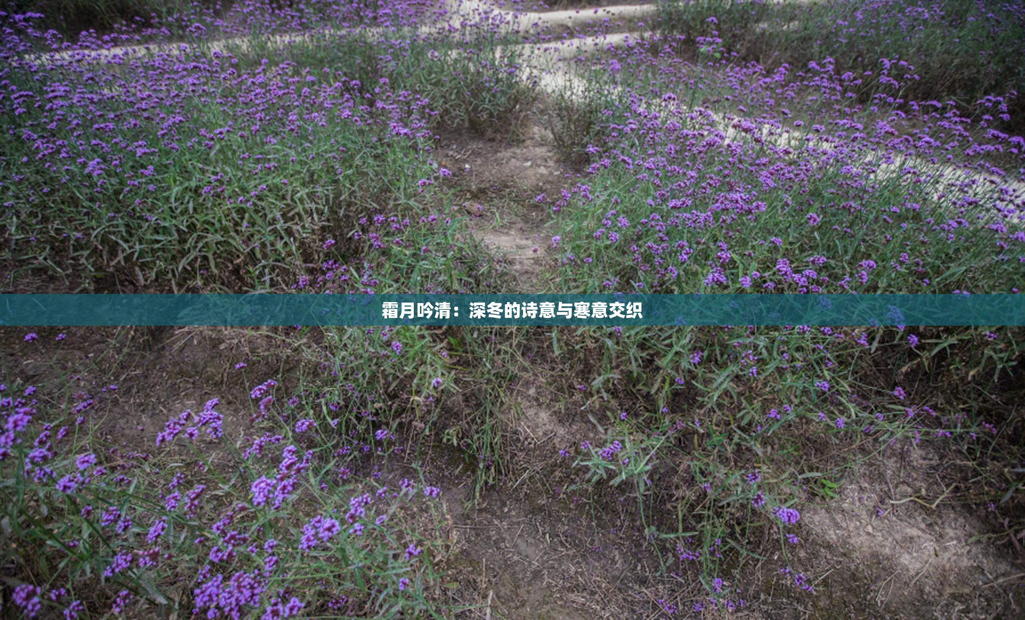 霜月吟清：深冬的诗意与寒意交织
