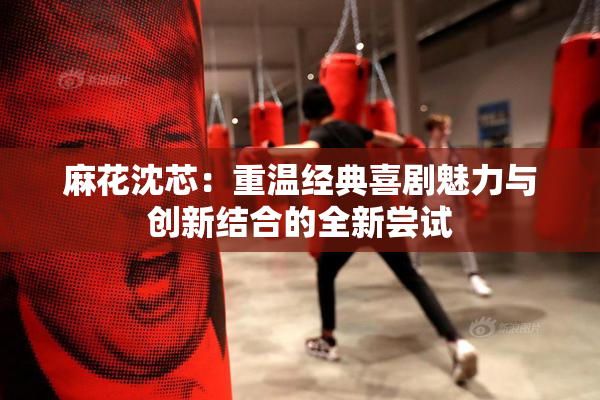 麻花沈芯：重温经典喜剧魅力与创新结合的全新尝试