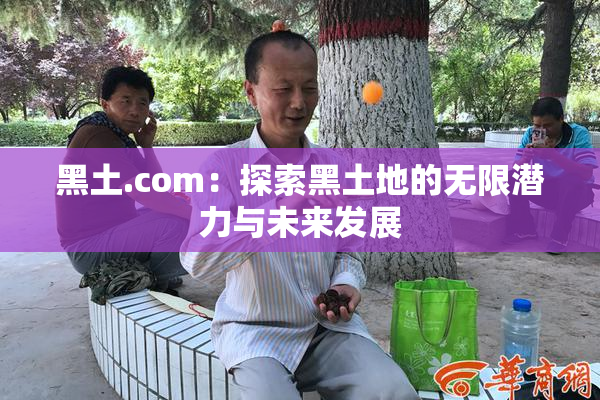 黑土.com：探索黑土地的无限潜力与未来发展