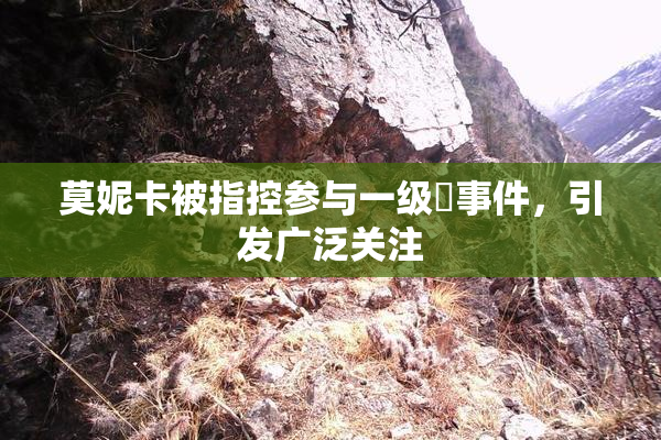 莫妮卡被指控参与一级婬事件，引发广泛关注