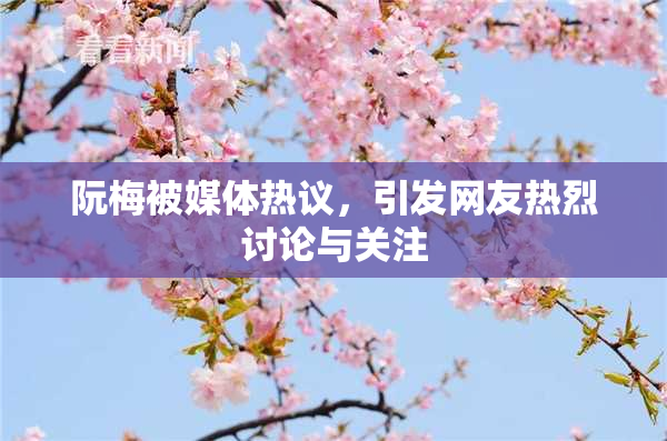 阮梅被媒体热议，引发网友热烈讨论与关注