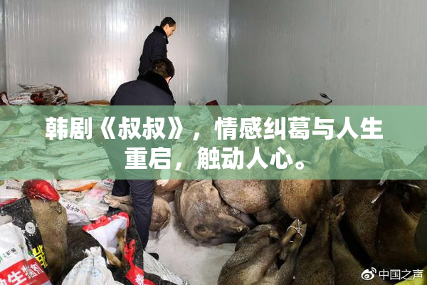 韩剧《叔叔》，情感纠葛与人生重启，触动人心。