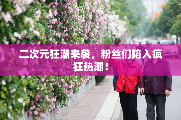 二次元狂潮来袭，粉丝们陷入疯狂热潮！