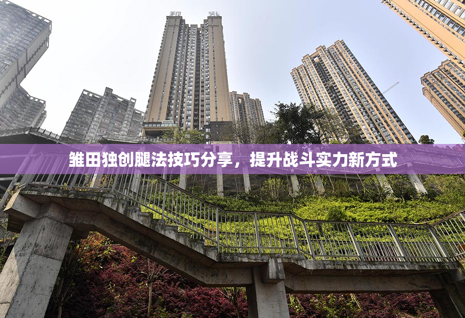 雏田独创腿法技巧分享，提升战斗实力新方式