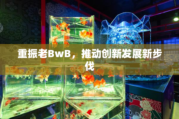 重振老BwB，推动创新发展新步伐