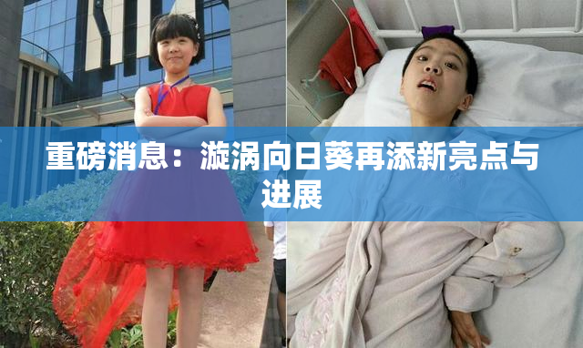 重磅消息：漩涡向日葵再添新亮点与进展