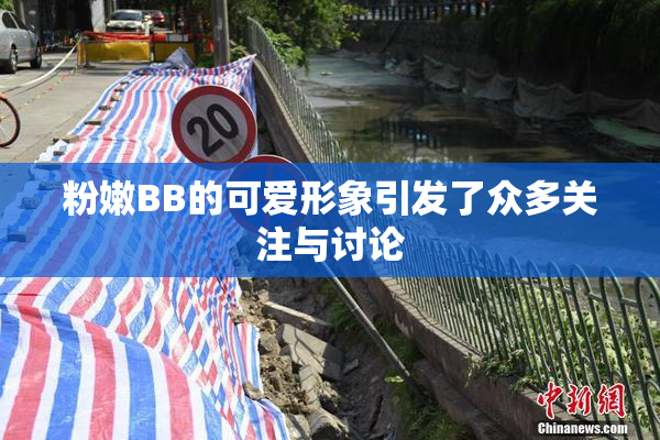 粉嫩BB的可爱形象引发了众多关注与讨论