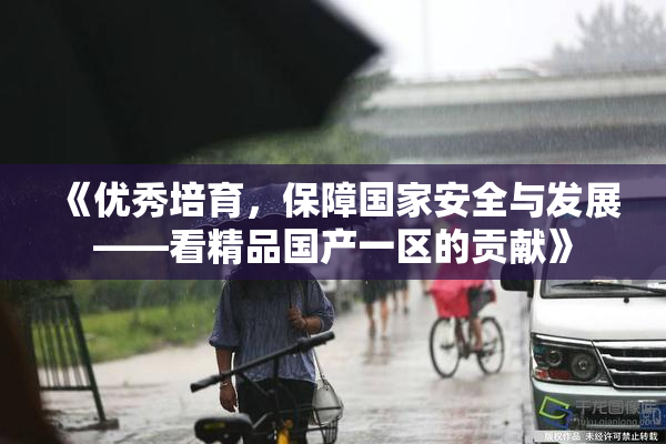 《优秀培育，保障国家安全与发展——看精品国产一区的贡献》