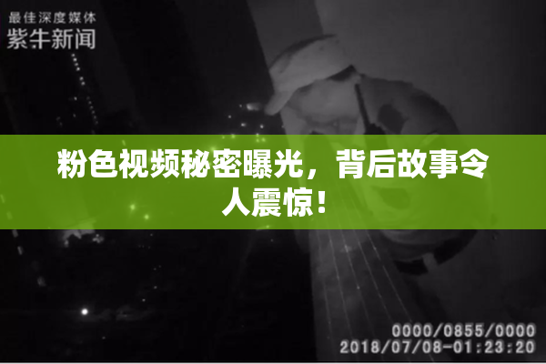 粉色视频秘密曝光，背后故事令人震惊！