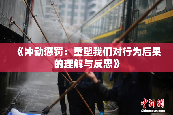 《冲动惩罚：重塑我们对行为后果的理解与反思》