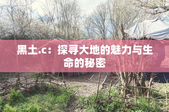 黑土.c：探寻大地的魅力与生命的秘密