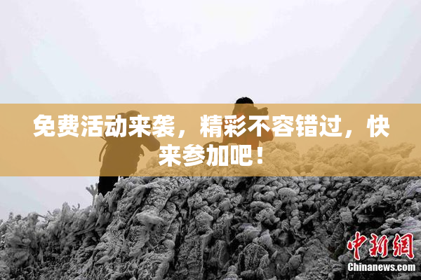 免费活动来袭，精彩不容错过，快来参加吧！