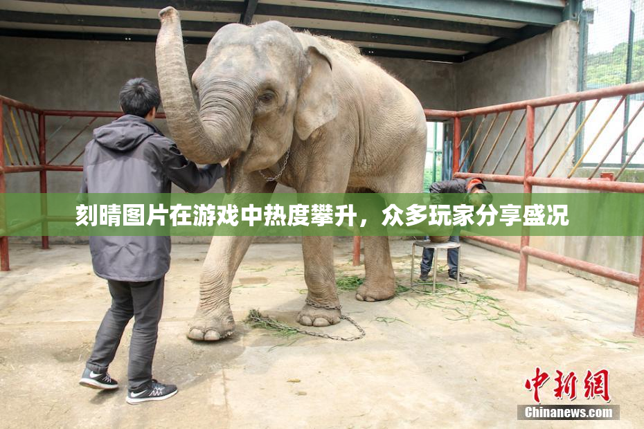 刻晴图片在游戏中热度攀升，众多玩家分享盛况
