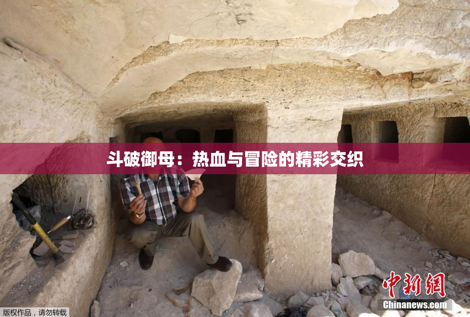 斗破御母：热血与冒险的精彩交织