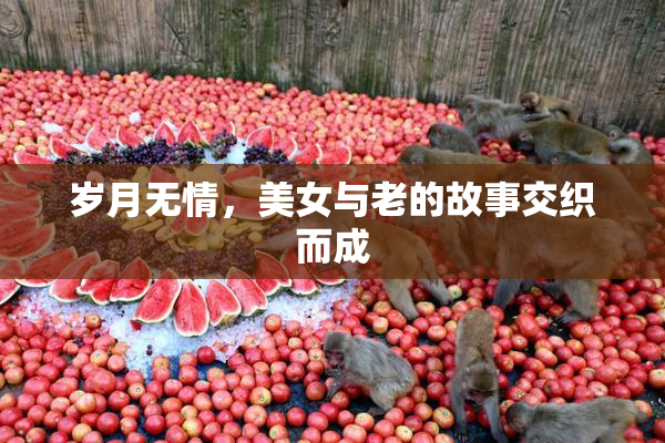 岁月无情，美女与老的故事交织而成