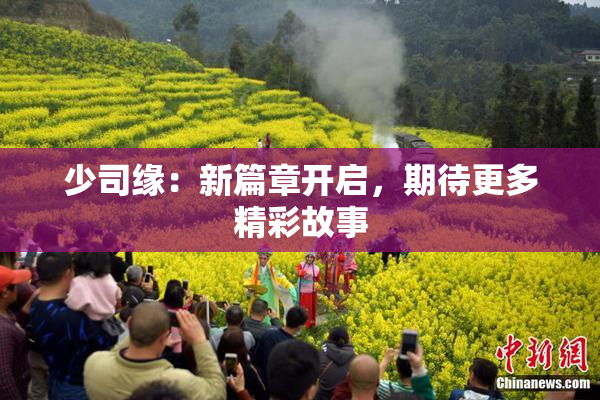 少司缘：新篇章开启，期待更多精彩故事