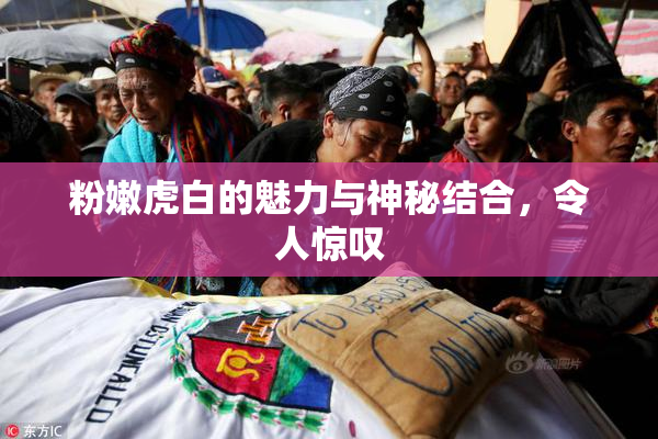 粉嫩虎白的魅力与神秘结合，令人惊叹