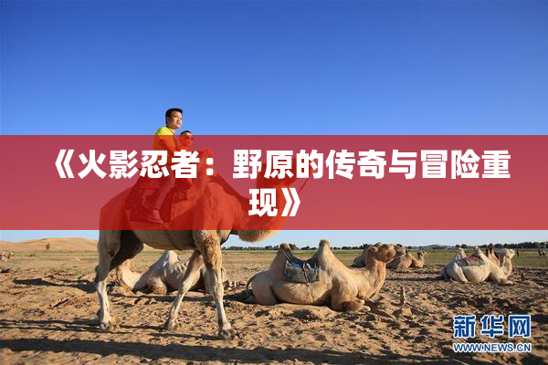《火影忍者：野原的传奇与冒险重现》