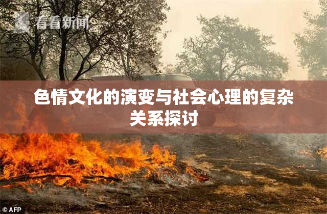 色情文化的演变与社会心理的复杂关系探讨