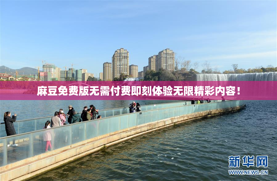 麻豆免费版无需付费即刻体验无限精彩内容！