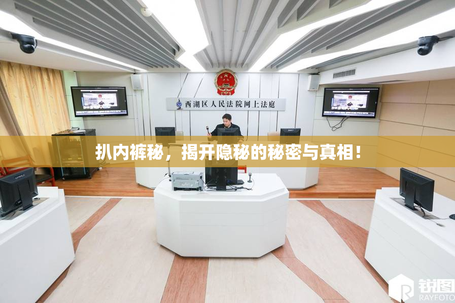 扒内裤秘，揭开隐秘的秘密与真相！