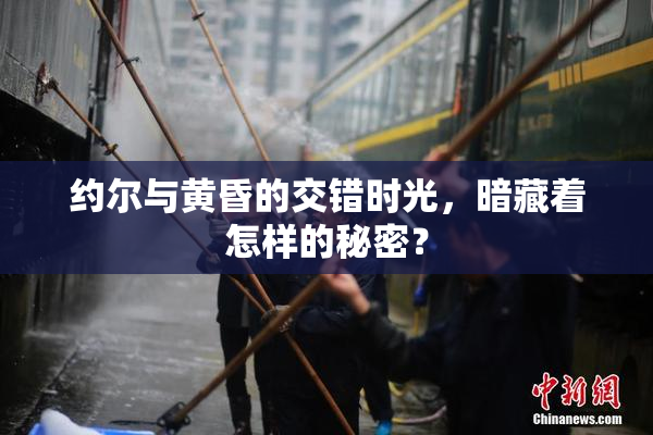约尔与黄昏的交错时光，暗藏着怎样的秘密？