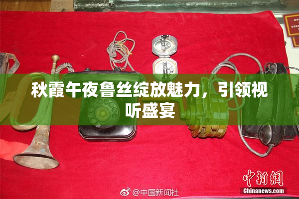 秋霞午夜鲁丝绽放魅力，引领视听盛宴