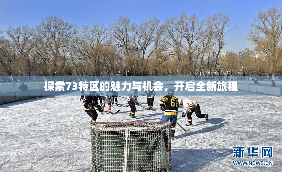 探索73特区的魅力与机会，开启全新旅程