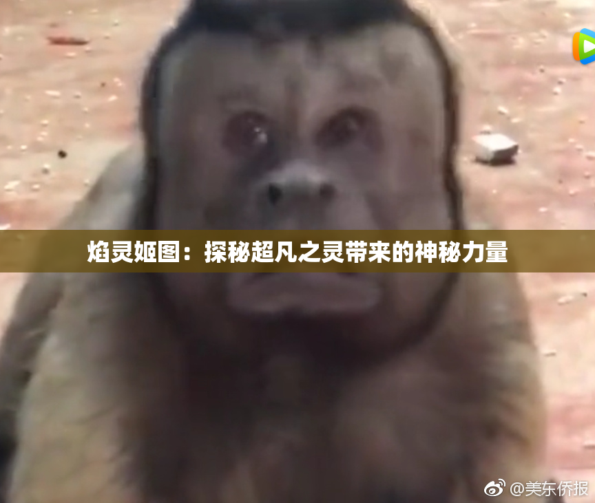 焰灵姬图：探秘超凡之灵带来的神秘力量