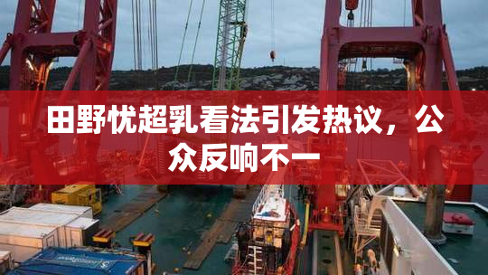 田野忧超乳看法引发热议，公众反响不一