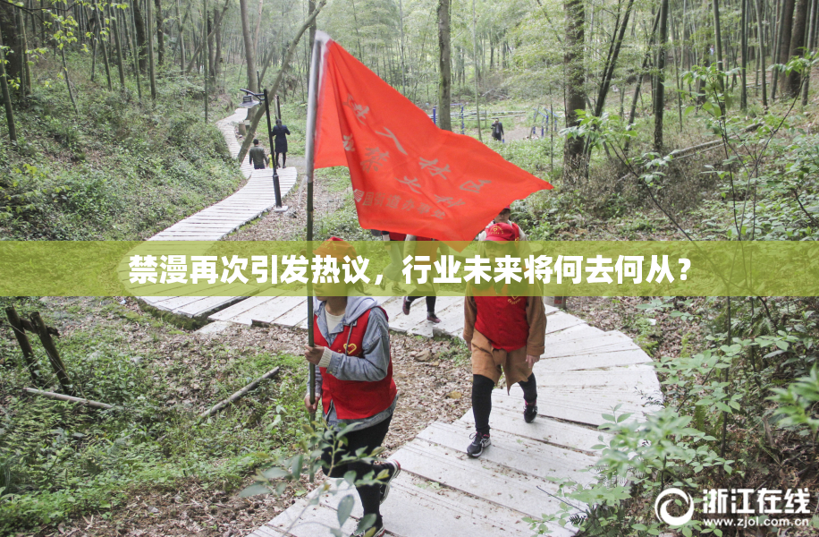禁漫再次引发热议，行业未来将何去何从？