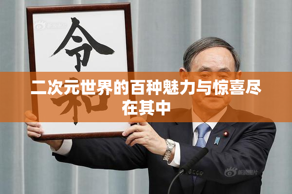 二次元世界的百种魅力与惊喜尽在其中
